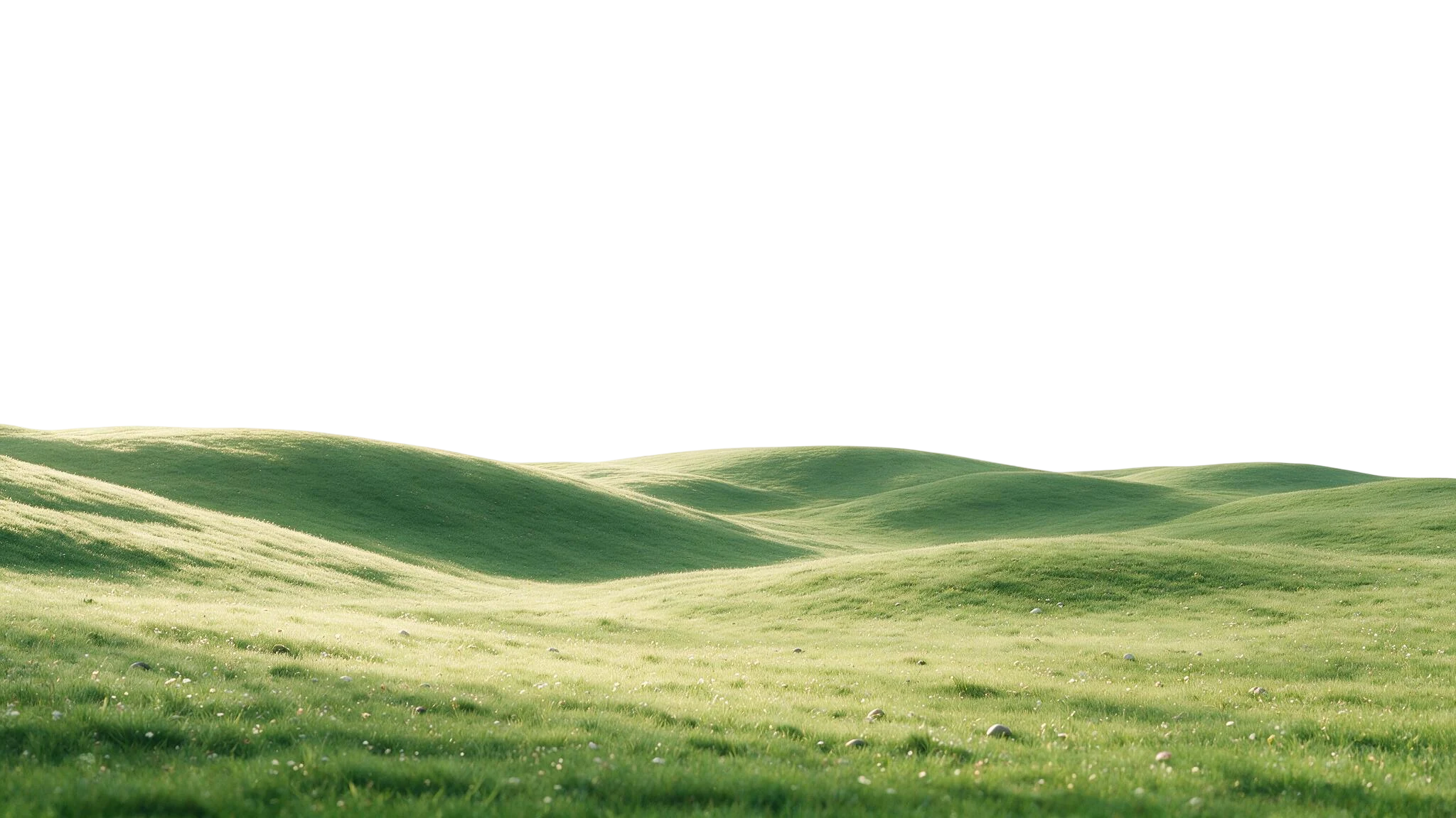همکاری برای آینده‌ای پایدار